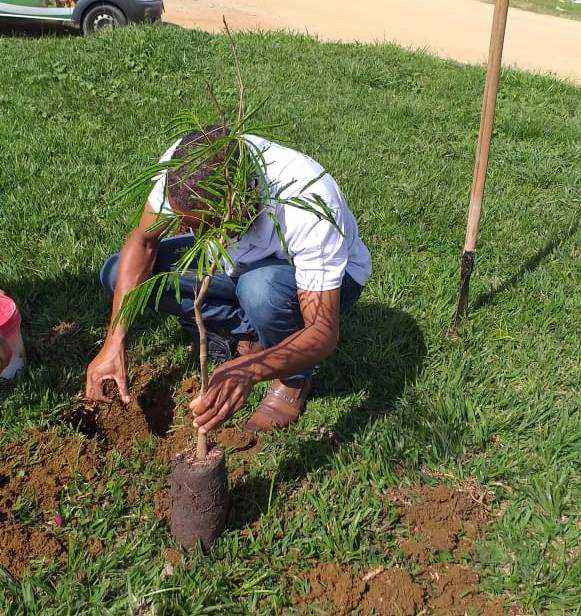 Camacã: Secretaria de Agricultura e Meio Ambiente em parceria com o Lions Clube e Maçonaria, realizam plantio de árvores e homenageia o empresário Eds
